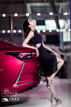 哈爾濱國際車展拍攝活動(dòng)