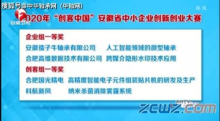 孺子牛軸承獲“創(chuàng)客中國(guó)”安徽總決賽企業(yè)組一等獎(jiǎng)