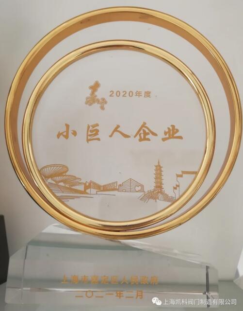 凱科閥門入選2020年度嘉定區(qū)小巨人計劃獎勵企業(yè)名單 凱科閥門入選2020年度嘉定區(qū)小巨人計劃獎勵企業(yè)名單