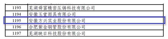 安徽方興實業(yè)股份有限公司入選國家專精特新“小巨人”企業(yè)