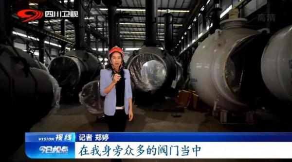 成高閥門丁騏：制造業(yè)單項(xiàng)冠軍的秘訣