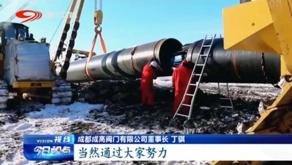 成高閥門丁騏：制造業(yè)單項(xiàng)冠軍的秘訣