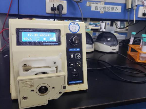 蘭格BT100-1F蠕動泵應用于大鼠肝原代細胞提取