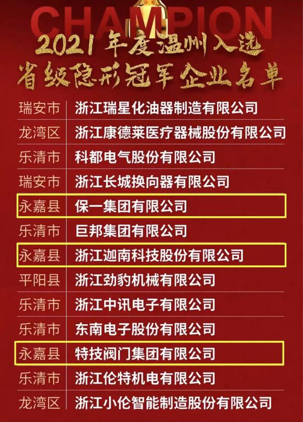 贊！永嘉省級(jí)“隱形冠軍”企業(yè)增加為9家，位列全省縣級(jí)第二，山區(qū)26縣第一！