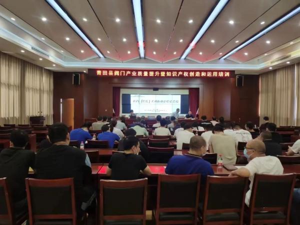浙江省泵閥中心王一翔應(yīng)邀赴麗水市開展閥門培訓