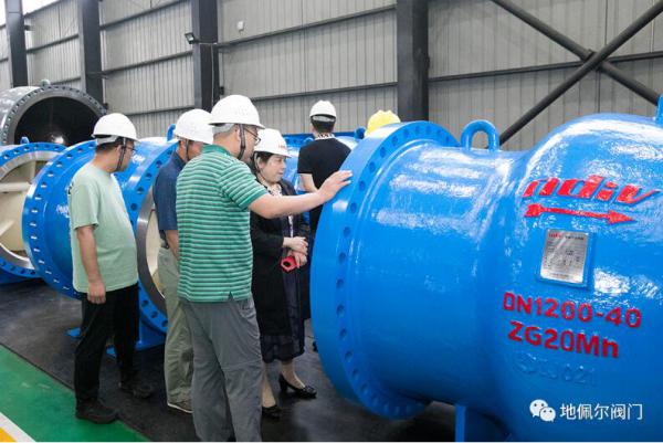 中高揚(yáng)程長距離輸水泵站工程大口徑軸流式止回閥通過科技成果評價