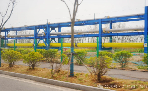 蘇鹽創(chuàng)新打造高端低溫球閥 助力濱海LNG項(xiàng)目邁向零碳示范標(biāo)桿