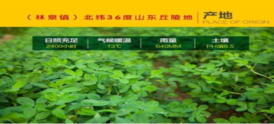 中民普健—福祉花生油，古法物理榨油