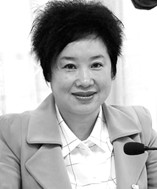 加快能源結構調整 提高電網資源配置能力