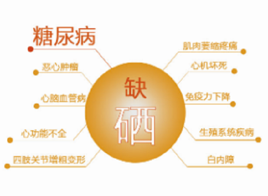 金竹飲是一種可能擺脫終生服藥的高效活性營(yíng)養(yǎng)補(bǔ)充劑